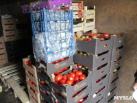 В Туле обнаружили почти 3 тонны санкционных овощей и фруктов, Фото: 1