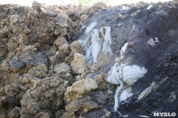 Незаконную свалку на берегу Тулицы спрятали под грудой земли, Фото: 18