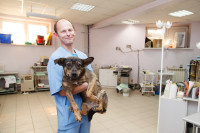 В какой ветеринарной клинике  лечить своего питомца, Фото: 10