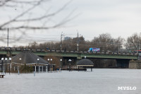Упа в Туле затопила детскую площадку и кафе на Пролетарской набережной, Фото: 17