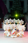 Успейте посмотреть шоу «Новогодние приключения домовенка Кузи» в Тульском цирке, Фото: 2