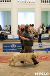Выставки собак в ДК "Косогорец", Фото: 38
