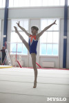 Соревнования по спортивной гимнастике на призы Заслуженных мастеров спорта , Фото: 57