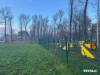 В сквере на улице Приупской вырубают тополя: в администрации рассказали, зачем, Фото: 10