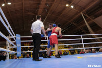 Финал турнира по боксу "Гран-при Тулы", Фото: 190