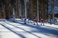 Состязания лыжников в Сочи., Фото: 38