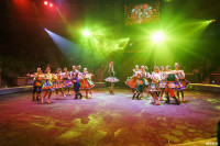 Шоу Гии Эрадзе «5 континентов» в Тульском цирке: феерия уже началась!, Фото: 99