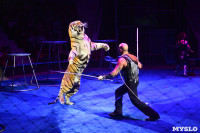 Цирковое шоу, Фото: 146