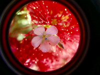, Фото: 2