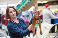 Международная выставка кошек в ТРЦ "Макси", Фото: 18