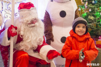 В Туле открылась резиденция Деда Мороза, Фото: 68