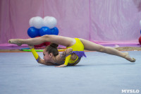 Соревнования по художественной гимнастике 31 марта-1 апреля 2016 года, Фото: 69