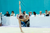 Тула провела крупный турнир по художественной гимнастике, Фото: 125