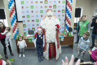 В Тулу приехал главный Дед Мороз страны из Великого Устюга, Фото: 51