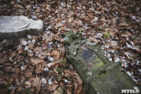 Кладбища Алексина зарастают мусором и деревьями, Фото: 40