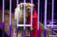 Шоу фонтанов «13 месяцев» в Тульском цирке – подарите себе и близким путевку в сказку!, Фото: 78