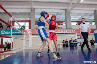 В Тульской области проходит областное первенство по боксу, Фото: 76