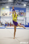Спортивная гимнастика в Туле 3.12, Фото: 122