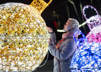 Тульские парки украсили к Новому году, Фото: 1