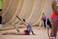 Соревнования по художественной гимнастике "Тульский сувенир", Фото: 57