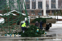 В Туле убирают главную новогоднюю ёлку , Фото: 2