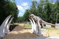 В Туле появился парк с интерактивными динозаврами, Фото: 3