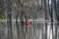 В Туле затопило Баташевский сад, Фото: 22
