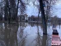 В Туле затопило Баташевский сад, Фото: 5