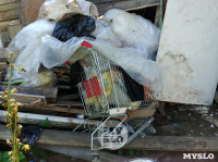 В Туле со двора «Плюшкиной» вывезли несколько грузовиков мусора, Фото: 6