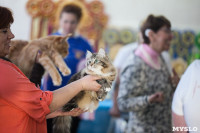 В Туле прошла выставка «Пряничные кошки» , Фото: 48