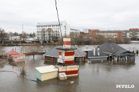 Упа в Туле затопила детскую площадку и кафе на Пролетарской набережной, Фото: 4