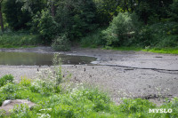 Почему обмелел пруд в Рогожинском парке Тулы?, Фото: 7