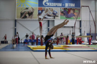Соревнования по спортивной гимнастике на призы Заслуженных мастеров спорта , Фото: 25