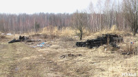 Поселок Славный в Тульской области зарастает мусором, Фото: 4