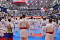 Более 2500 спортсменов оспаривают медали на Всероссийских соревнованиях по карате в Туле, Фото: 10