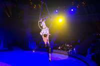 "Чудеса под Новый год" в Тульском цирке, Фото: 72