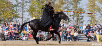 На Куликовом поле с размахом отметили 638-ю годовщину битвы, Фото: 84