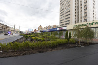 В центре Тулы появился самый зеленый перекресток, Фото: 33