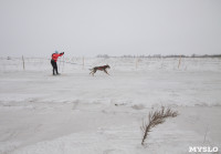 Гонки на собачьих упряжках «Большой тур» на Куликовом поле, Фото: 118