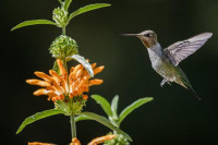, Фото: 4