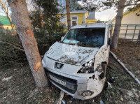 В Туле Mazda-3 сбила рябину и влетела в припаркованный Peugeot , Фото: 12