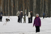 Тульские катки. Январь 2014, Фото: 31