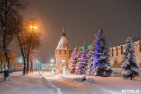 Сказочная зима в Туле, Фото: 4