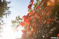 Золотая осень по-тульски, Фото: 55