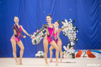 Соревнования по художественной гимнастике на призы благотворительного фонда «Земляки», Фото: 22