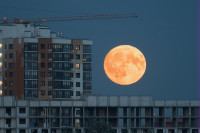 Осетровая Луна 2025, Фото: 10