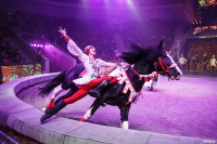 Шоу Гии Эрадзе «5 континентов» в Тульском цирке: феерия уже началась!, Фото: 109