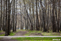 Центральный парк Тулы без людей, Фото: 19