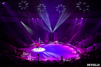 Премьера новогоднего шоу в Тульском цирке, Фото: 64