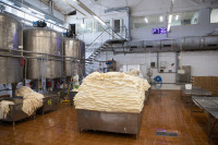На Узловском молочном комбинате оптимизировали производство творога , Фото: 6
